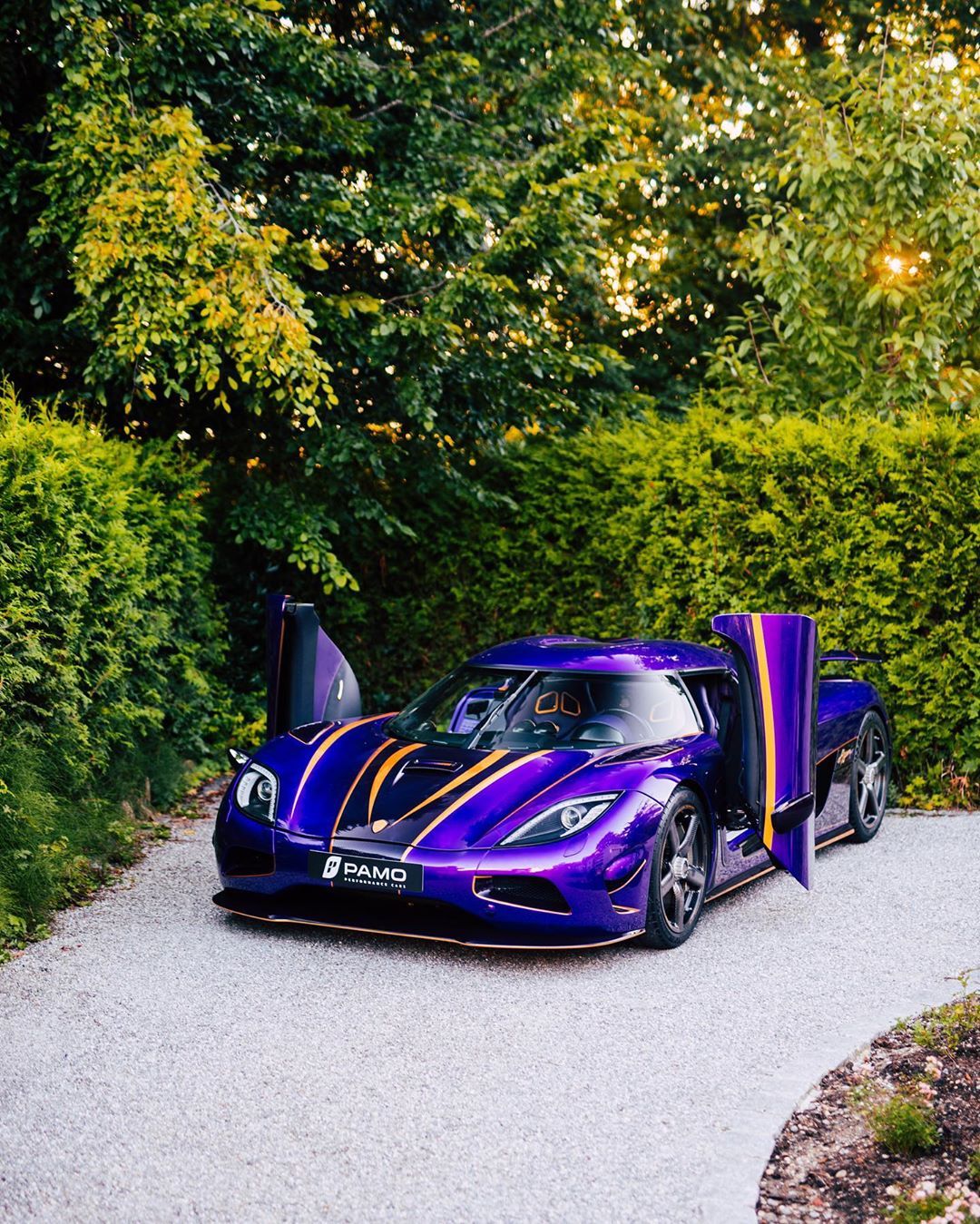 {賭波}(风火轮帕加尼风之子r)